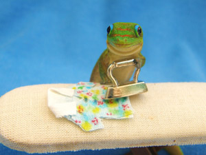 happy homemaker gecko